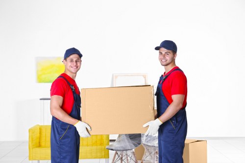 Professional flat removals in Goodmayes with boxes and moving van